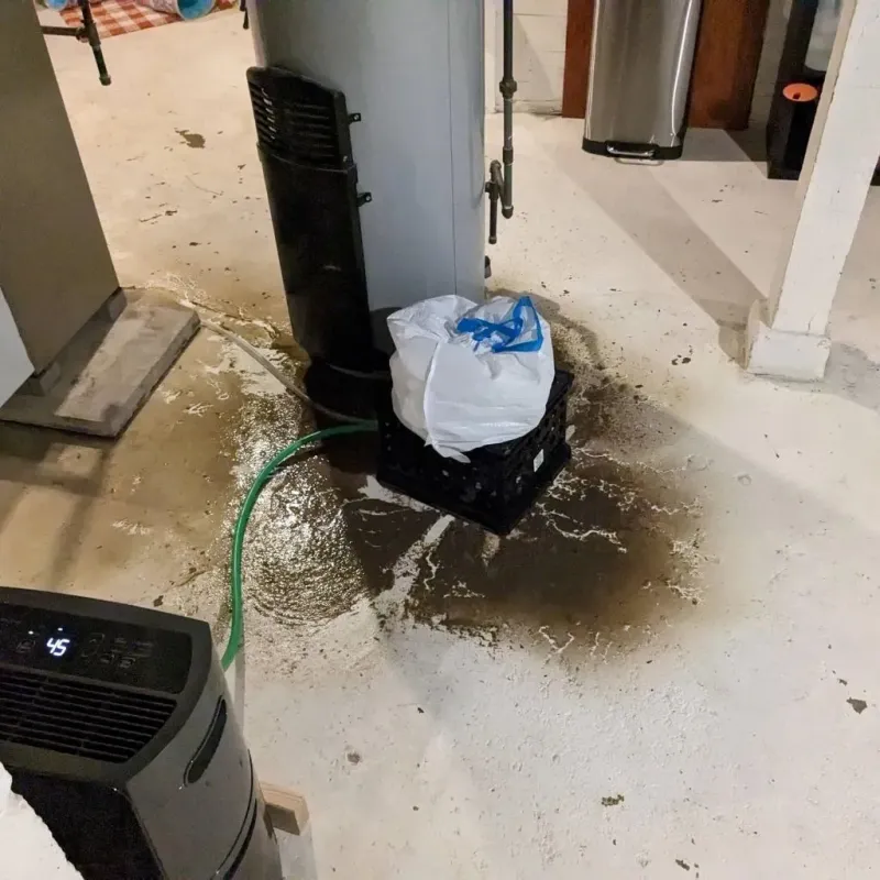 Sewage Backup Cleanup Service in Hanson County, SD
